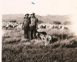 Jean Baptiste Zubiri (on right) sheepherding in the U.S.