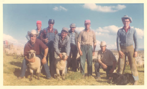 Early Etcheverry sheep ranch workers
